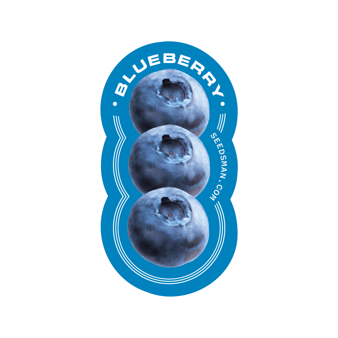 Logo Blueberry seedsman.com
